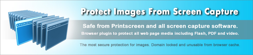 Kopierschutz für Bilder, Internetseiten und Internetmedien